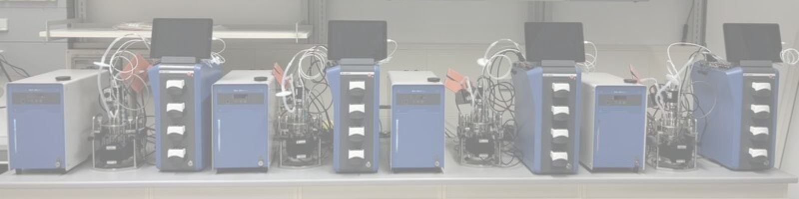 BiomassInBioreactors_Webinar_Banner